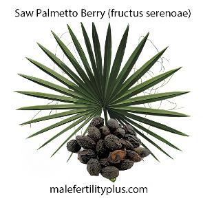 Saw Palmetto Berry Restorative sexual tonic for men and women