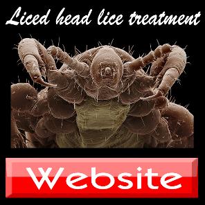herbal_head_lice_treatment