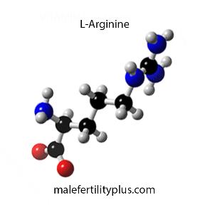 L-Arginine can increase sperm count