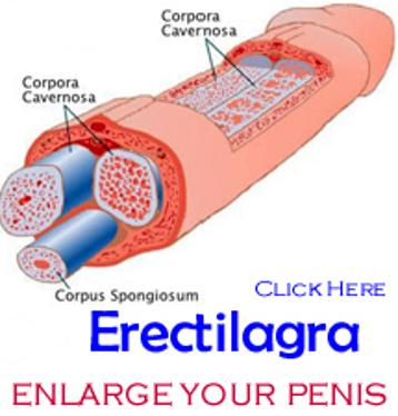 Erectilagra fuller penis 