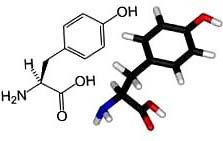 GROW TALLER L-TYROSINE