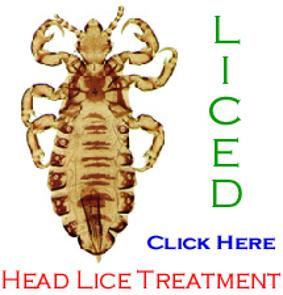 head_lice