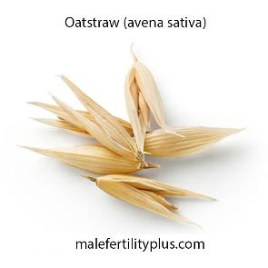 Oatstraw (avena sativa) This is a botanical extract that has traditionally been used to increase strength, mind, spirit and body.