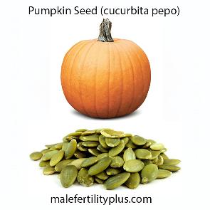 Pumpkin Seed (cucurbita pepo) improves the fluidity and mobility of the sperms