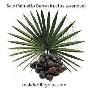 Saw Palmetto Berry Restorative sexual tonic for men and women