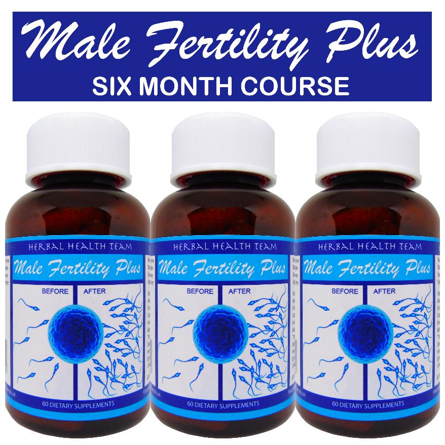 male fertility plus 6 month course